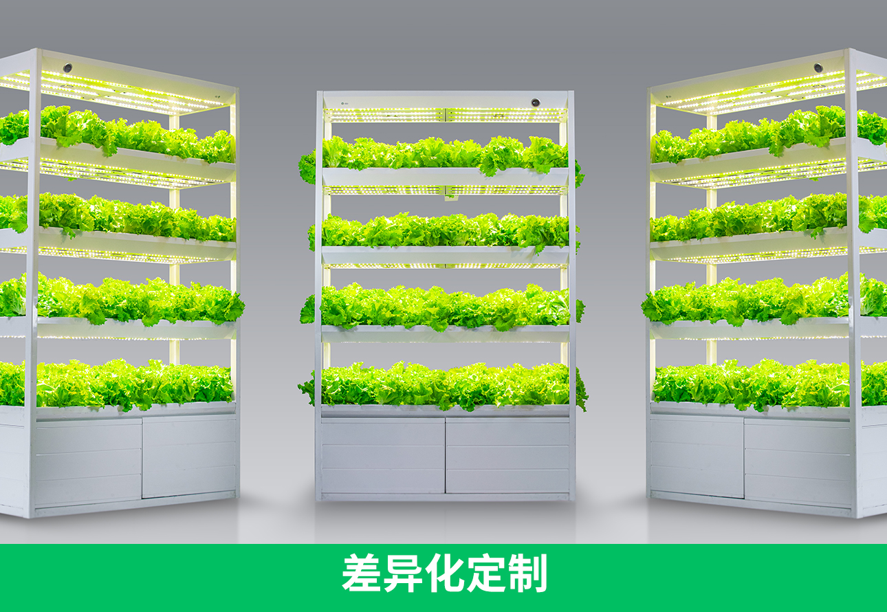 差異化定制.jpg