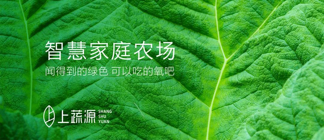 上蔬源閃耀正定古城 用科技締造美好生活