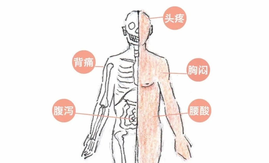 【亞健康】三高、缺鈣、鐵、鋅，竟然是和土壤有關(guān)？我們能做些什么？