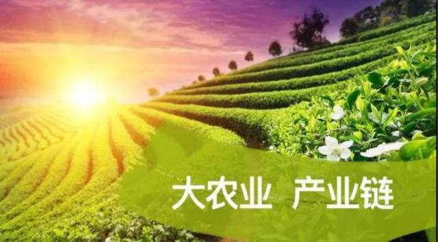 【政策】支持形成農(nóng)業(yè)產(chǎn)業(yè)化聯(lián)合體，打造“一縱一橫”農(nóng)業(yè)全產(chǎn)業(yè)鏈