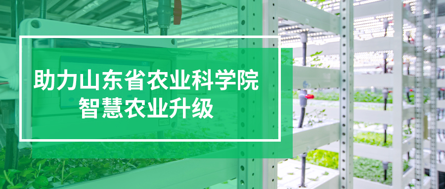 山東省農(nóng)業(yè)科學(xué)院引進(jìn)上蔬源種植模組｜推動智慧農(nóng)業(yè)發(fā)展