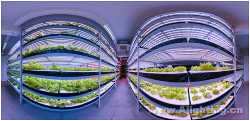 [植物工廠、智慧農(nóng)業(yè)、功能食品]已成為未來農(nóng)業(yè)科技三個(gè)突破點(diǎn)