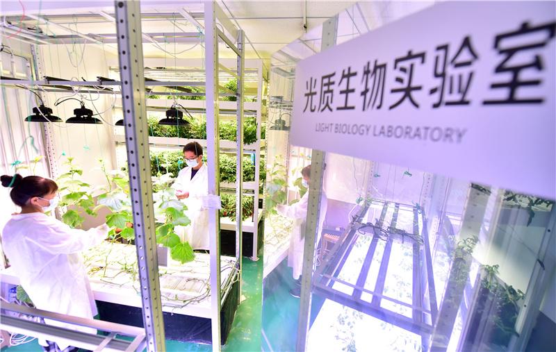 新華社:[上蔬源]科技助力智慧農(nóng)業(yè)