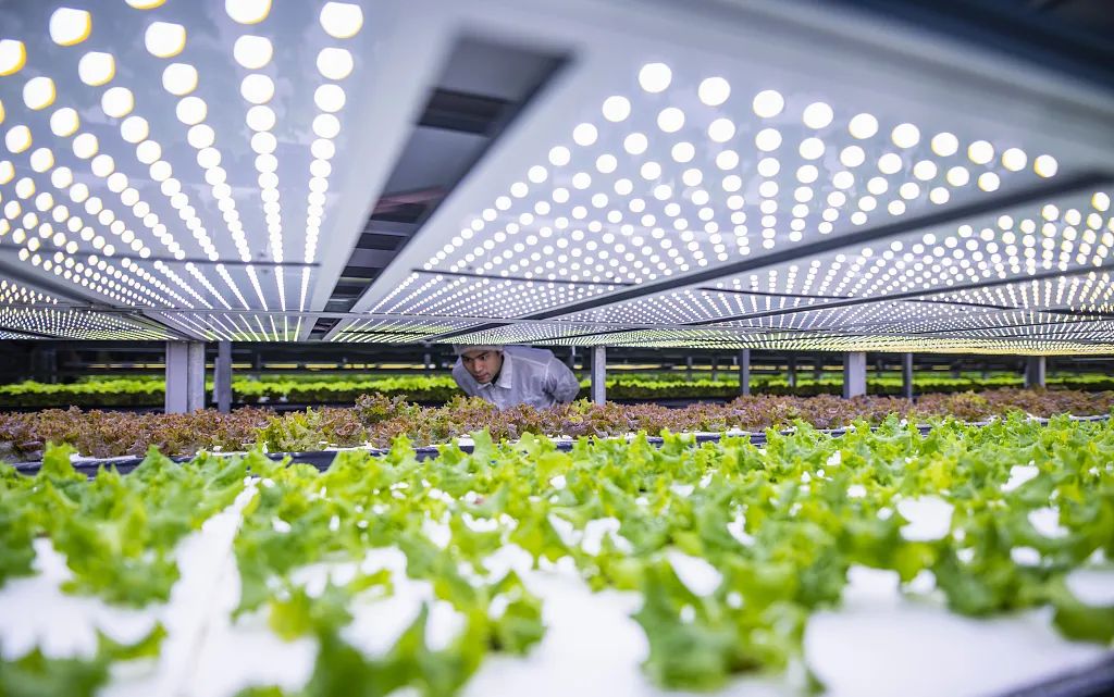 植物工廠—為顛覆未來(lái)生活而來(lái)
