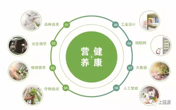 九大領域