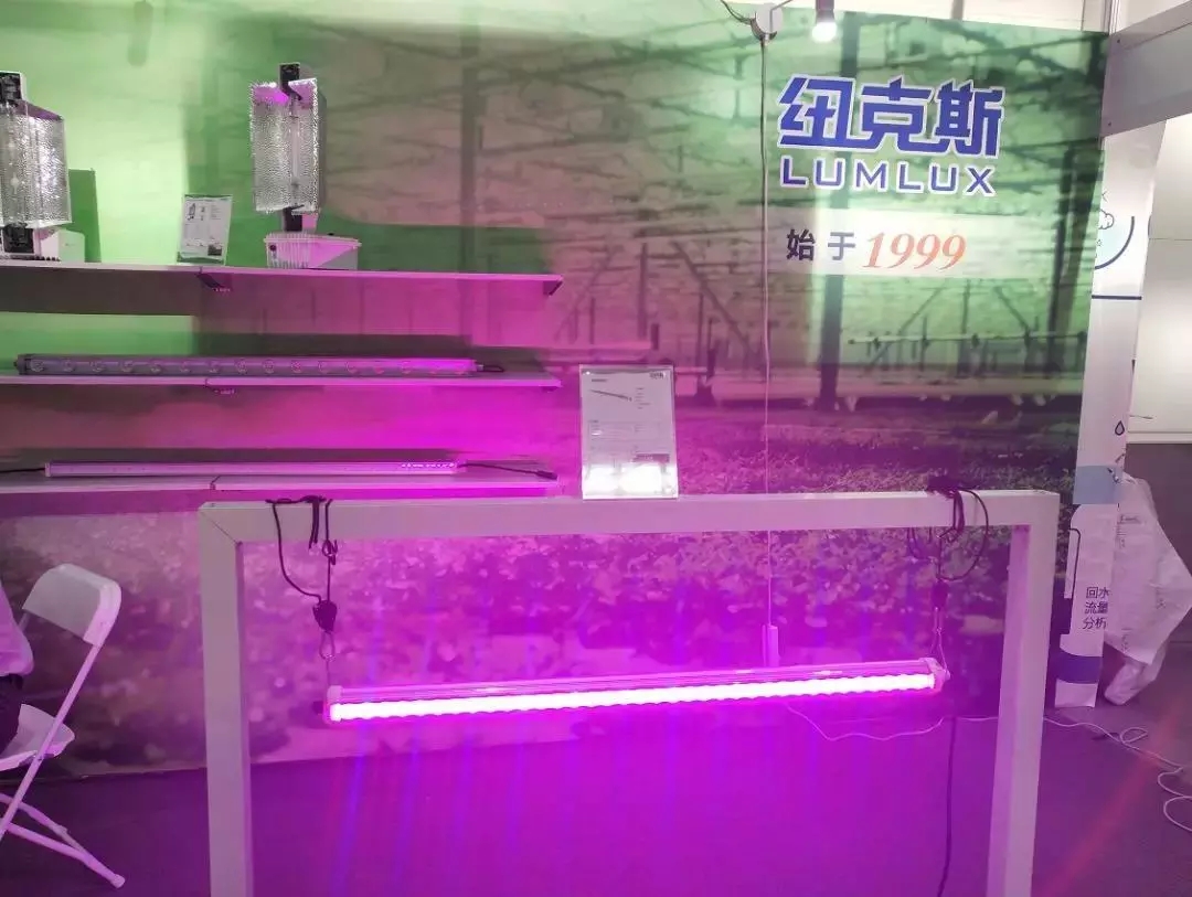 紐克斯株間植物燈