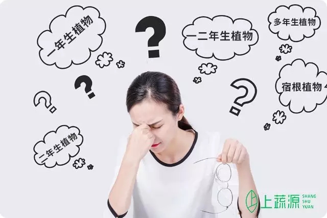 植物幾年生？