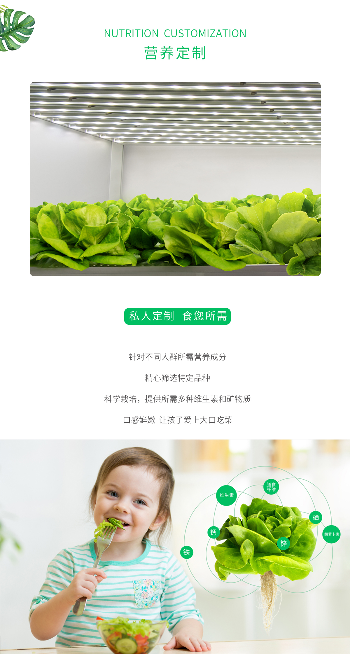 營養(yǎng)定制