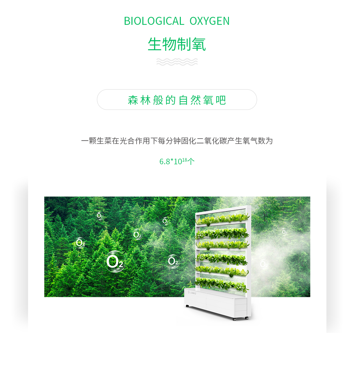 生物制氧