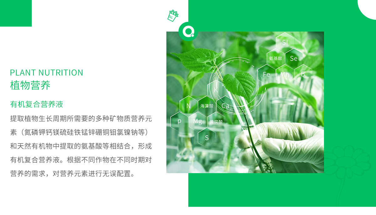 植物營(yíng)養(yǎng)