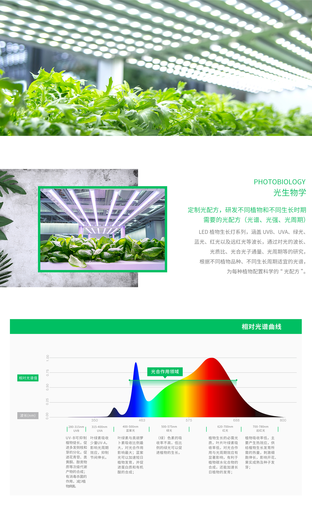 光生物學(xué)