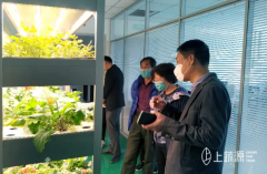 國家中藥材產業(yè)體系崗位科學家溫春秀教授一行參觀考察“上蔬源”